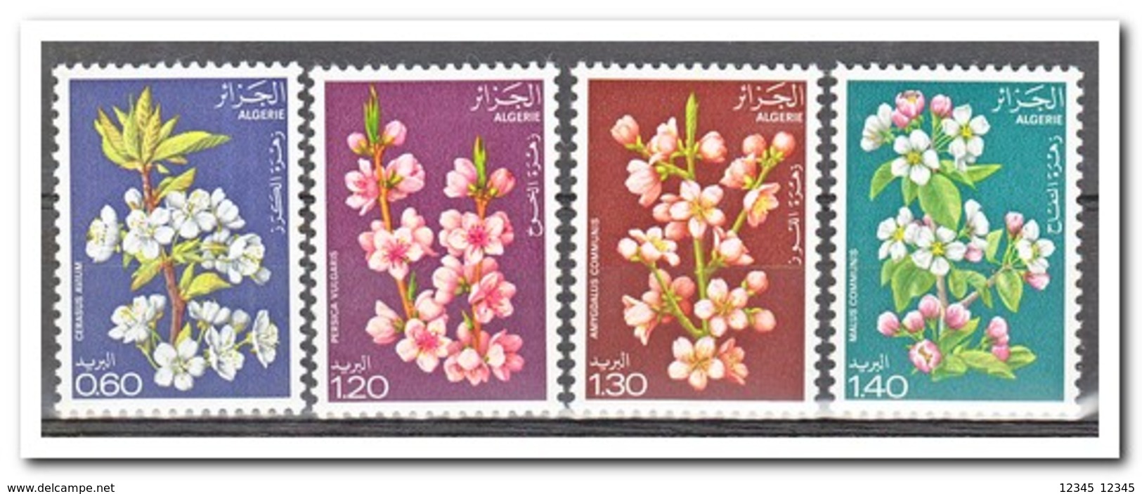 Algerije 1978, Postfris MNH, Flowers - Algérie (1962-...)