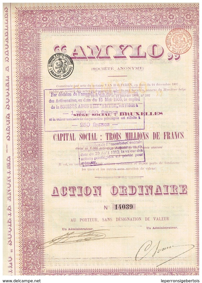 Action Ancienne - Sté Anonyme "Amylo" - Titre De 1898 - Industrie