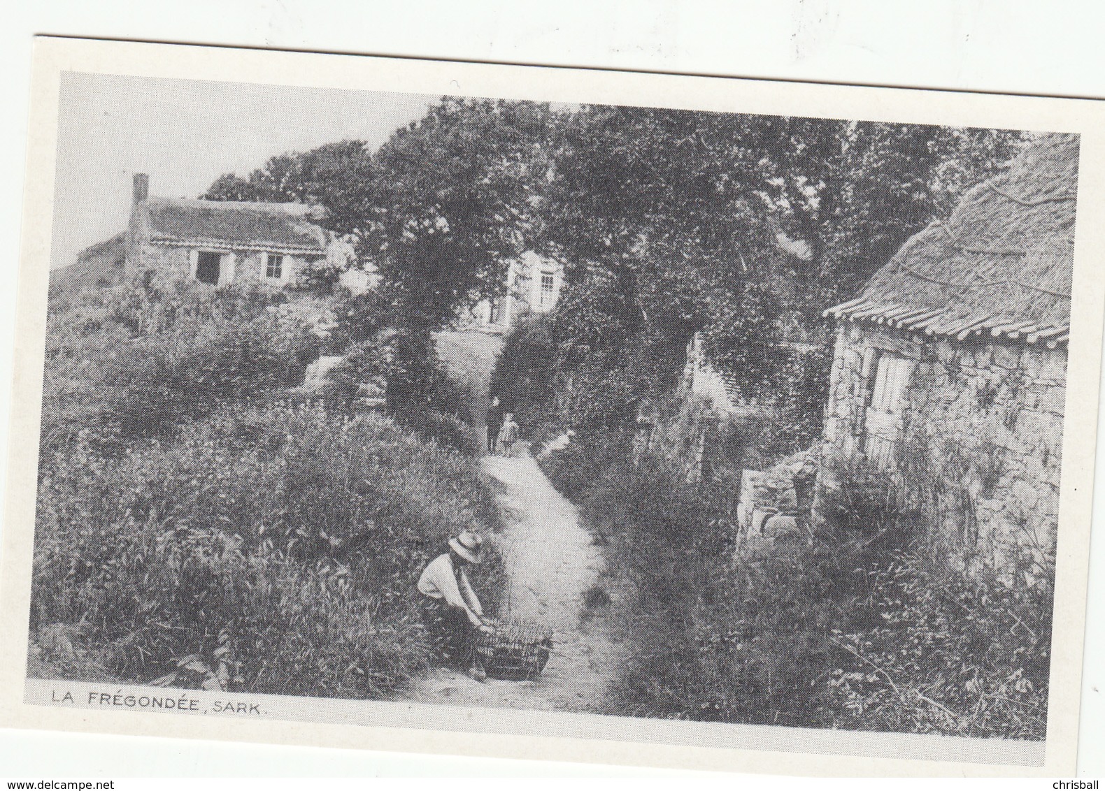 SARK  Postcard- La Fregondee -  Unused Mint - Reproduction - Sark