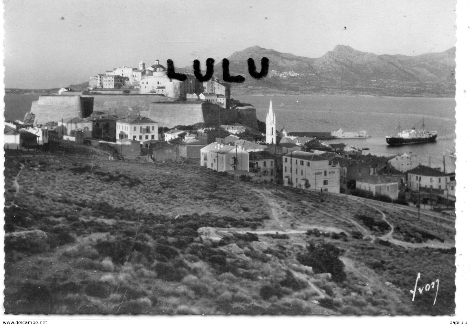 DEPT 20-2B : édit. Yvon N° 250 : Calvi La Citadelle Et Le Golfe - Calvi