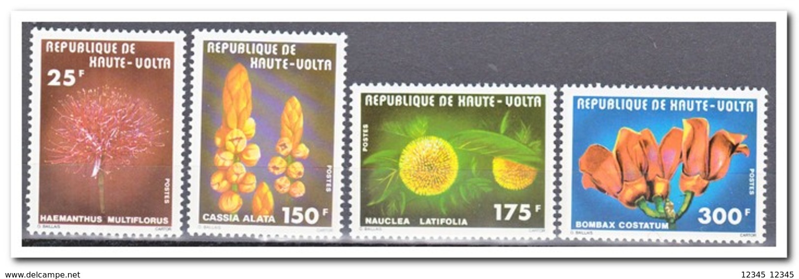 Opper-Volta 1977, Postfris MNH, Plants - Opper-Volta (1958-1984)