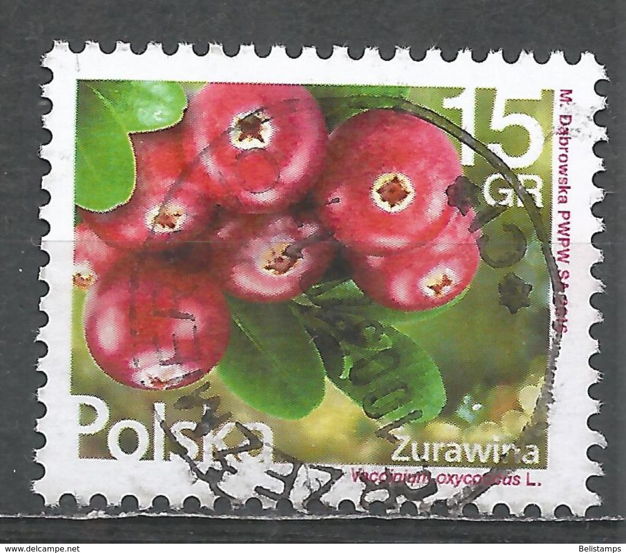Poland 2016. Scott  #4255 (U) Vaccinium Oxycoccus, Fruits - Used Stamps