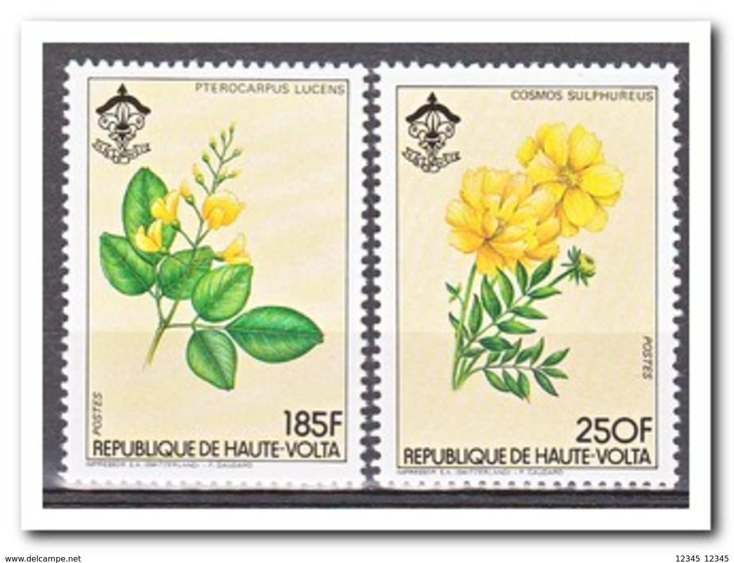 Opper-Volta 1984, Postfris MNH, Flowers - Opper-Volta (1958-1984)