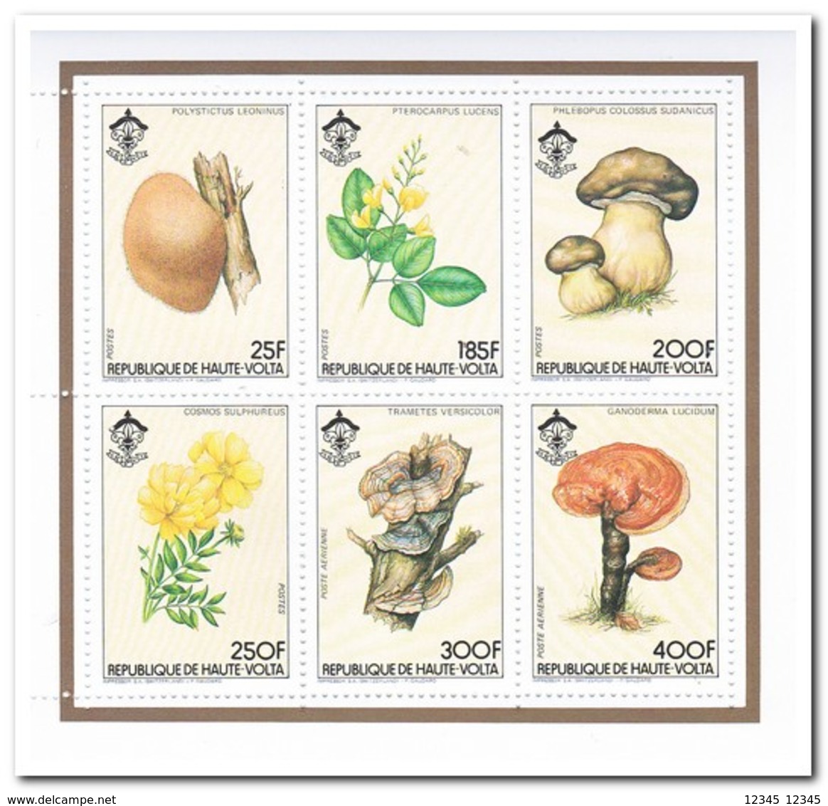 Opper-Volta 1984, Postfris MNH, Flowers, Mushrooms - Opper-Volta (1958-1984)