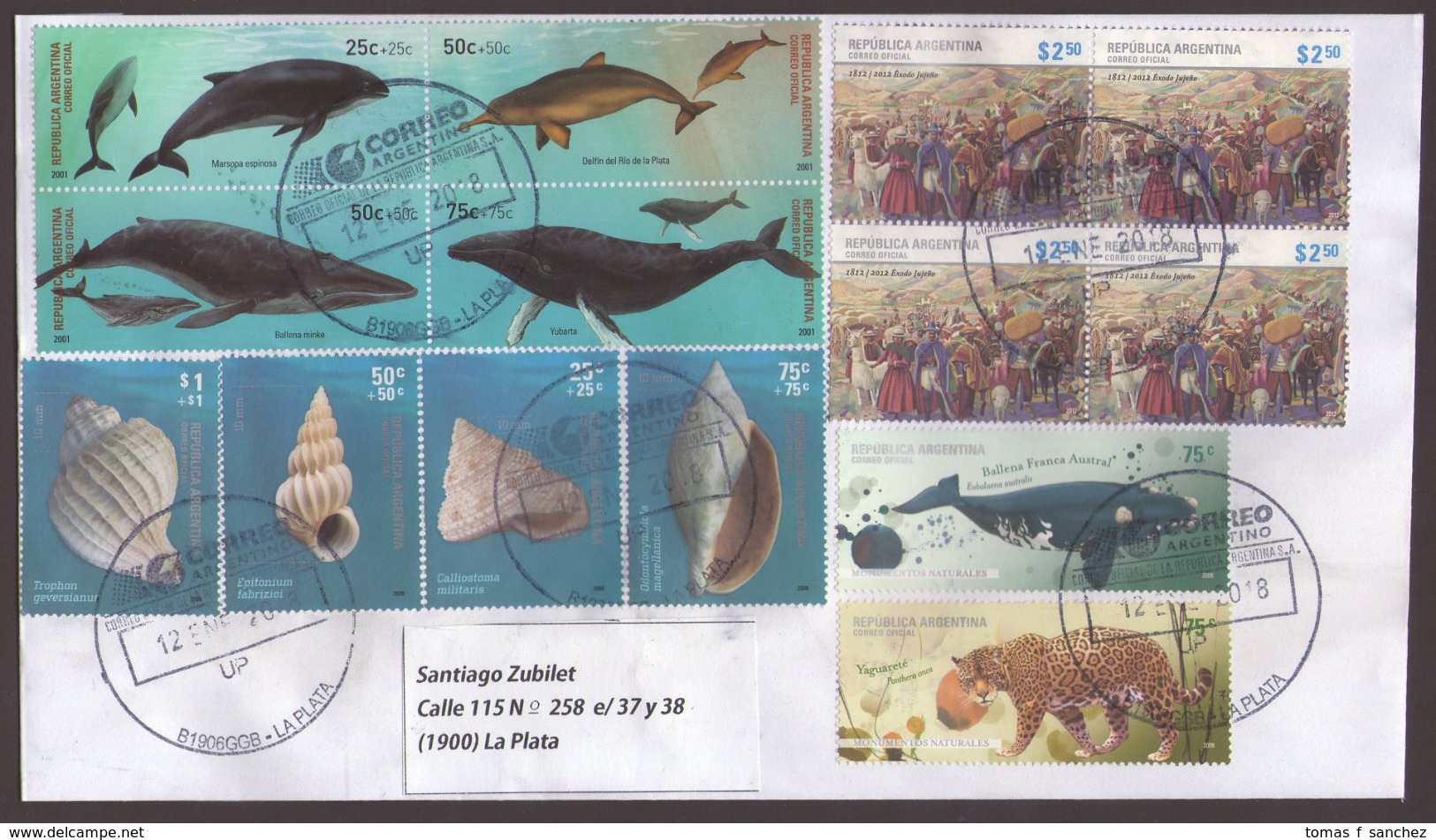 Argentina - 2018 - Lettre - Mammifères Marins - Mammifères - Coquillages - Lettres & Documents