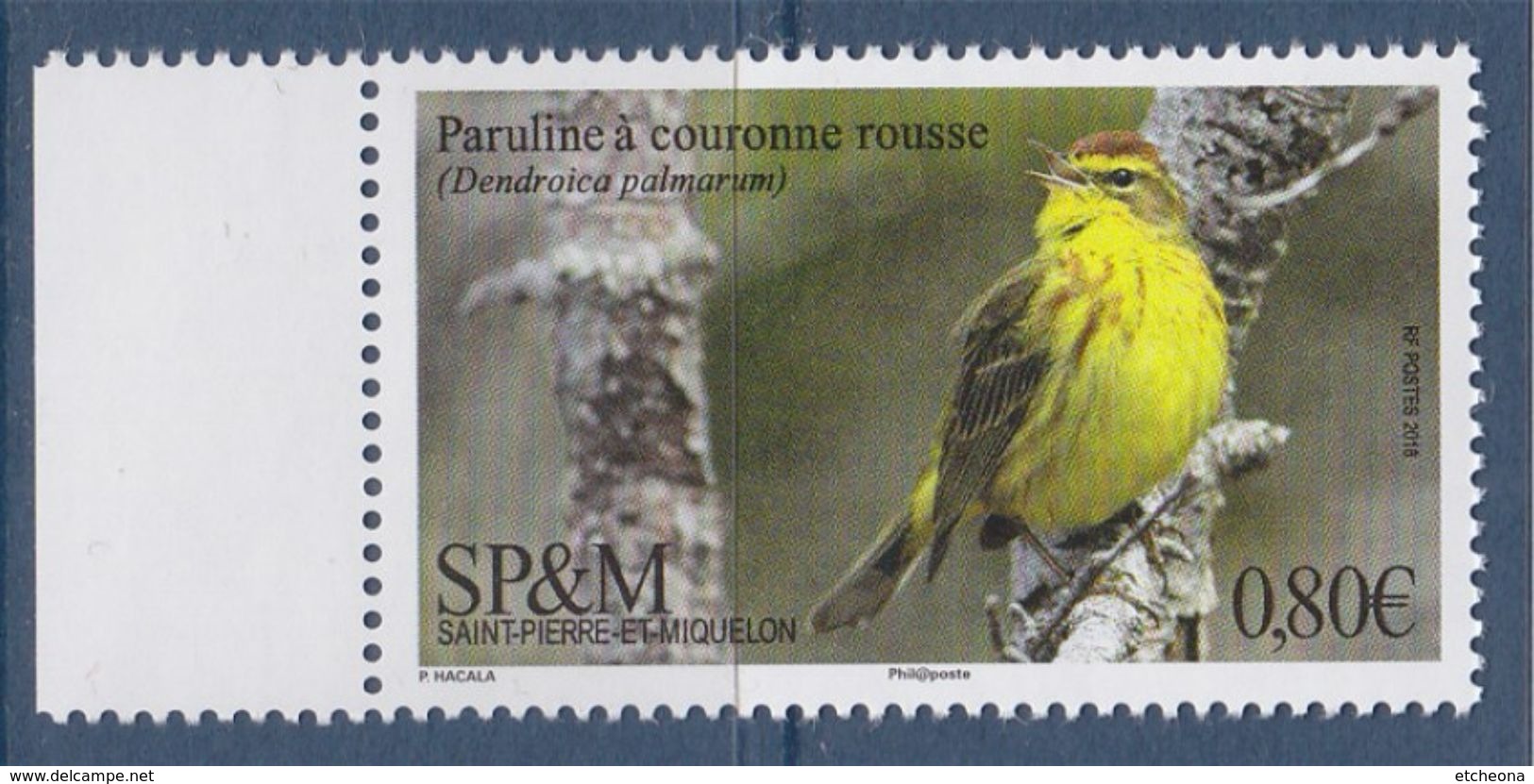 Neuf 1 Timbre Saint Pierre Et Miquelon N°1197 Paruline à Couronne Rousse - Unused Stamps