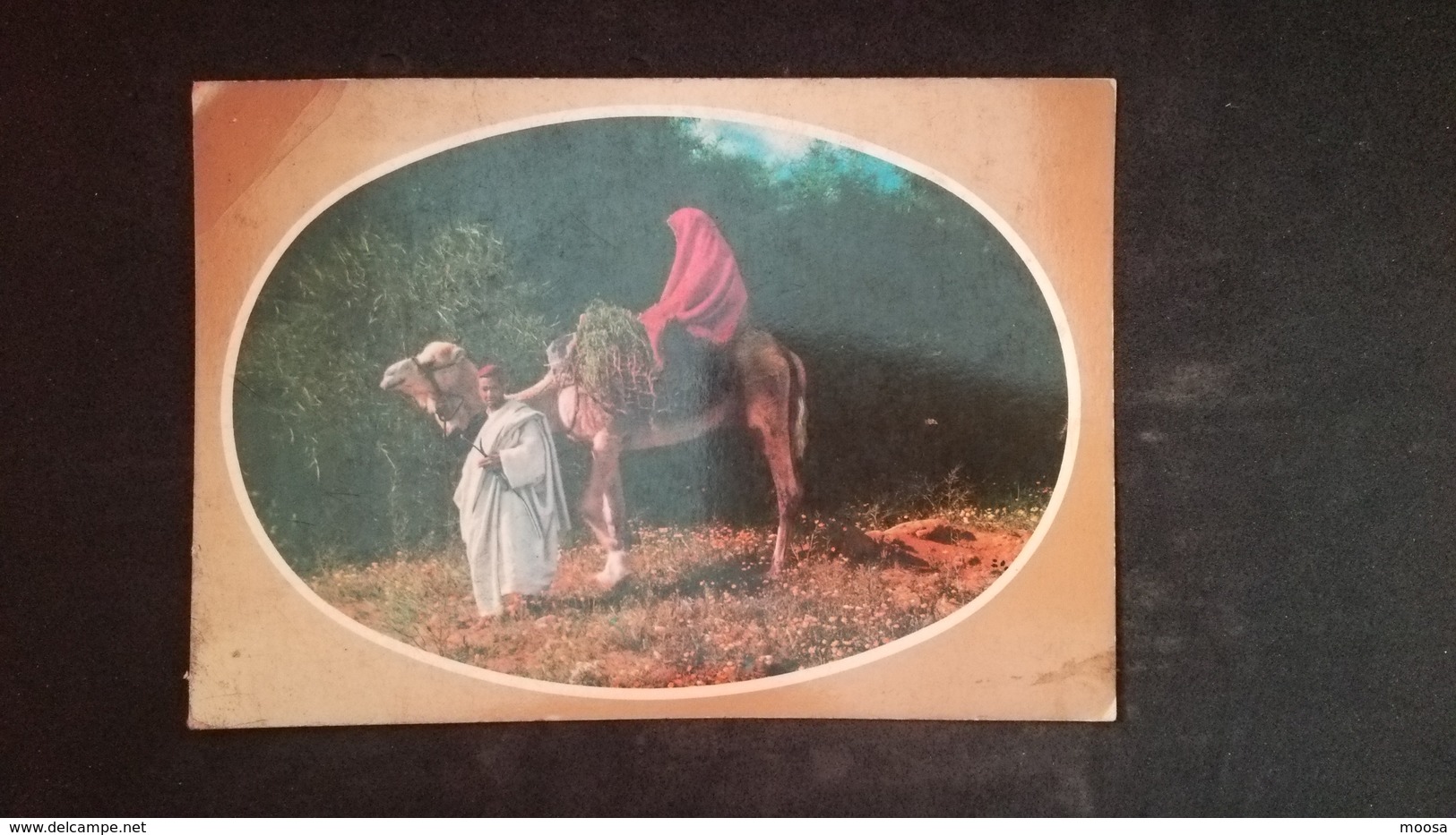 (Free Shipping*)  USED/ UNUSED POSTCARD See Back - Libia