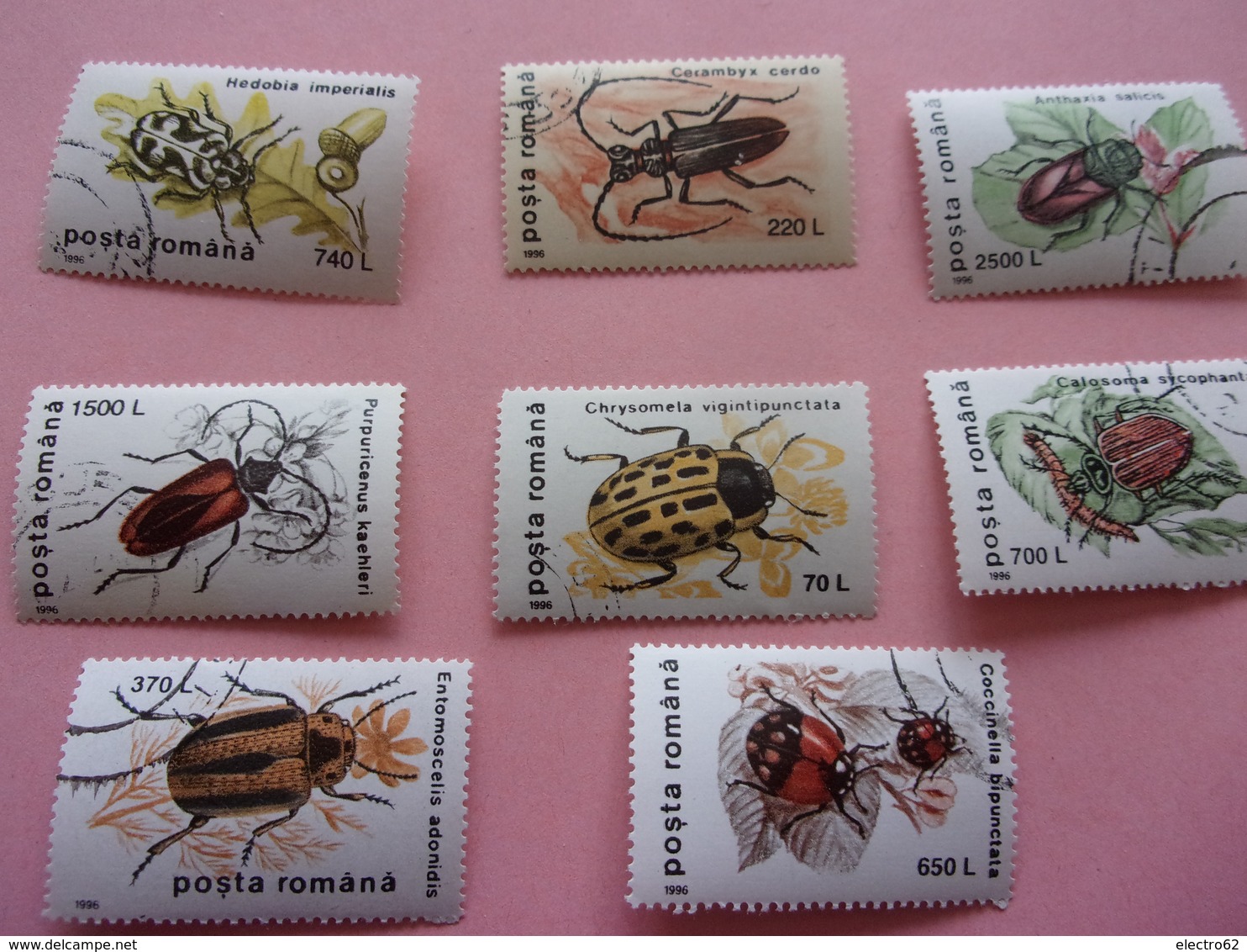 Lot Timbres Insecte Roumanie - Autres & Non Classés