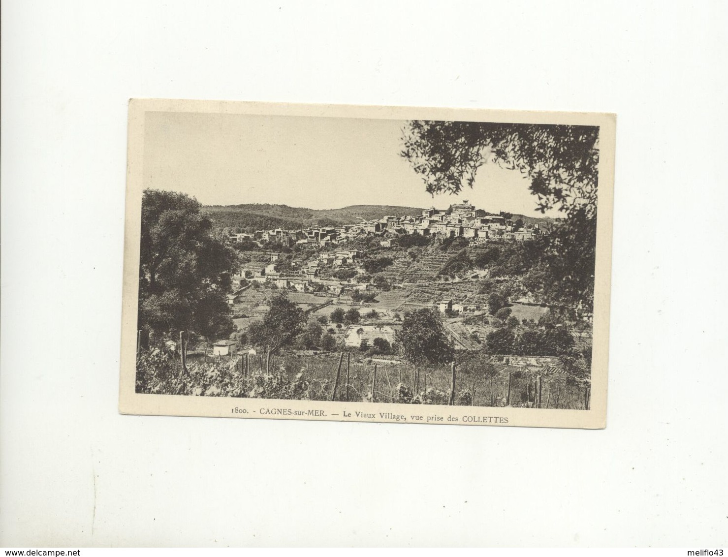 06/ CPA - Cagnes Sur Mer - Le Vieux Village, Vue Prise Des Collettes - Cagnes-sur-Mer