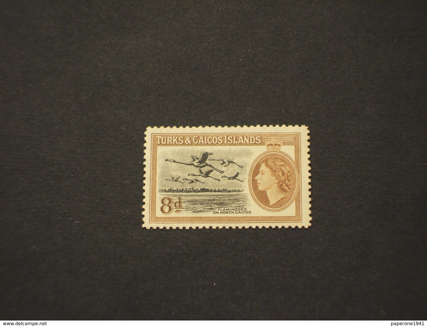 TURKS CAICOS - 1955 VOLO UCCELLI  8 P. - NUOVO(+) - Turks E Caicos