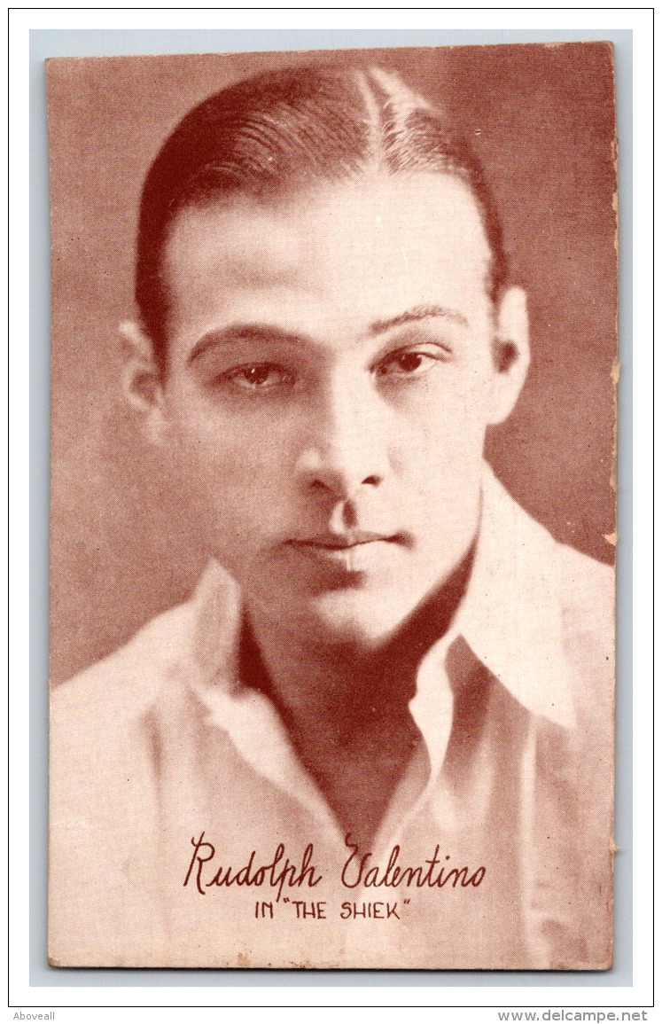 18438   Rudolph Valentino In The Sheik - Artistes