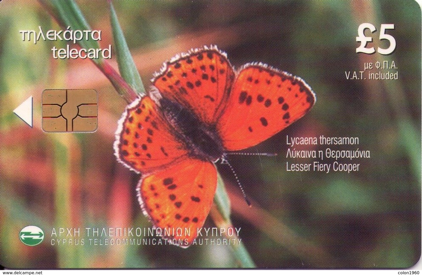 CHIPRE. FAUNA. BUTTERFLY - MARIPOSA. Lycaena Thersamon. 1101CY. (033) - Chipre