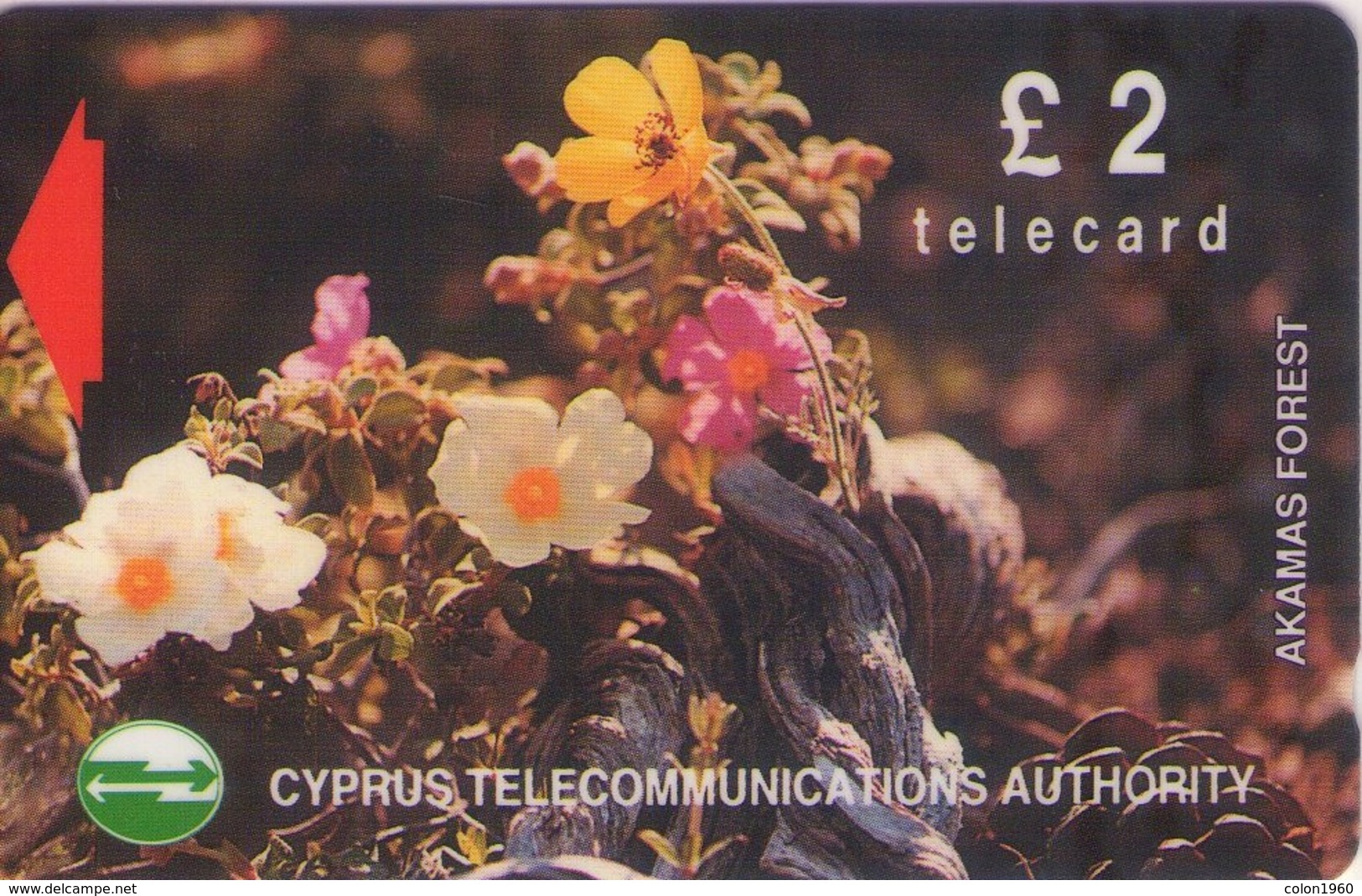 TARJETA TELEFONICA DE CHIPRE. 17CYPA (141). - Chipre