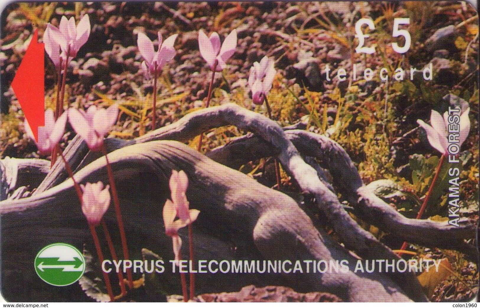 TARJETA TELEFONICA DE CHIPRE. 17CYPB (146). - Chypre