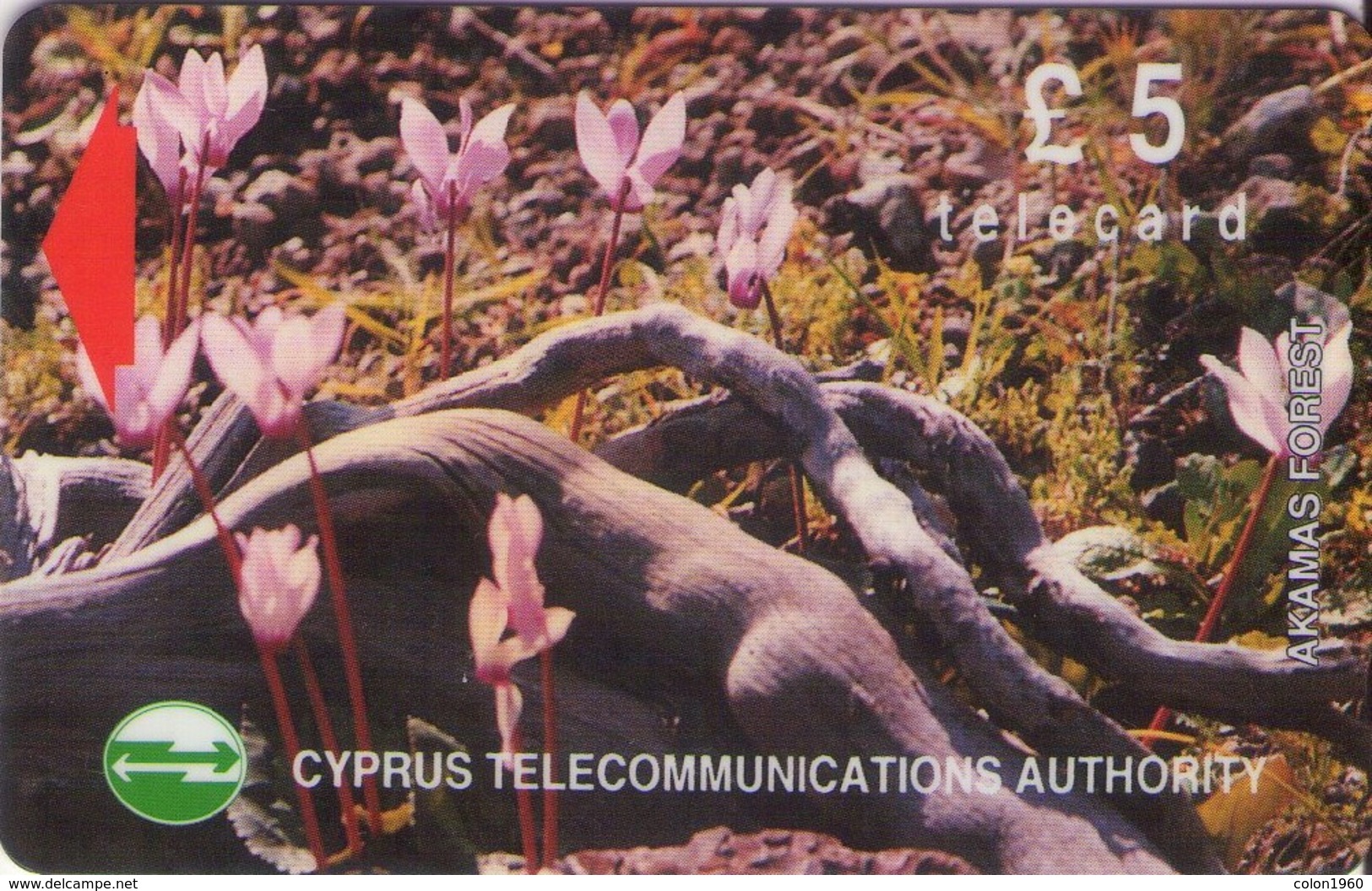 TARJETA TELEFONICA DE CHIPRE. 18CYPB (147). - Chypre