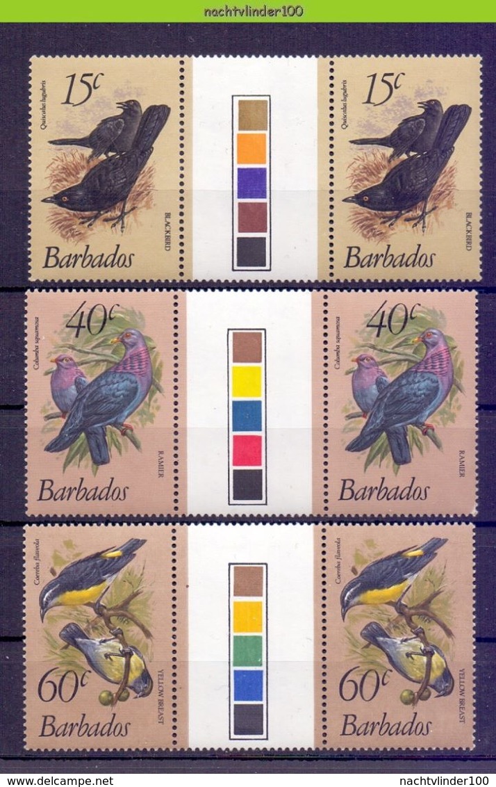 Mza061 FAUNA VOGELS DUIF DUIVEN DOVES PIGEONS BLACKBIRD * GUTTERPAIRS * BIRDS VÖGEL AVES OISEAUX BARBADOS 1982 PF/MNH - Collections, Lots & Series