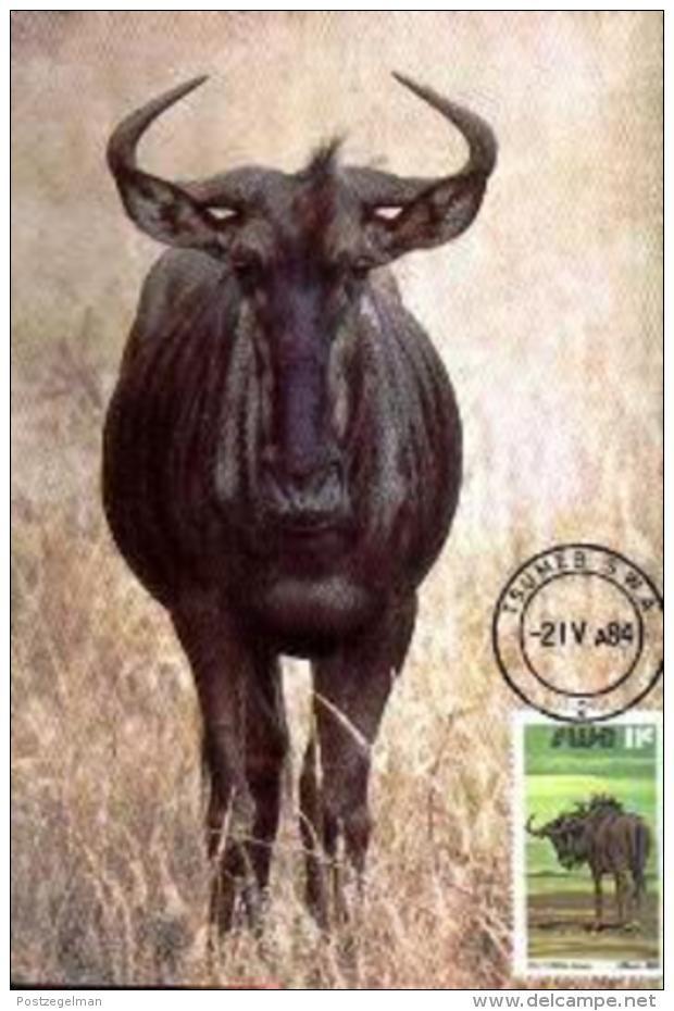 SWA, 1984, Mint Maxi Cards, MI Nr. 9, Wildebeest - South West Africa (1923-1990)