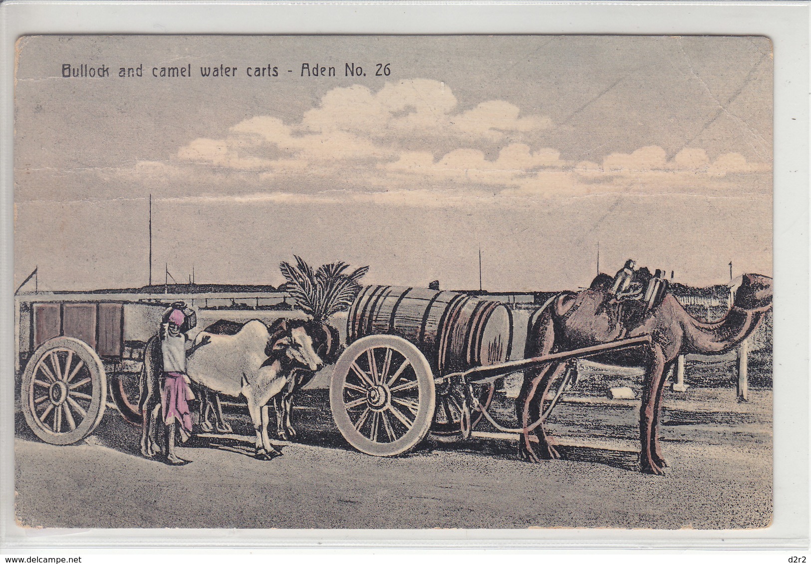 ADEN - BULLOCK AND CAMEL WATER CARTS - ILLUSTRATION - 28.07.11 - Yémen