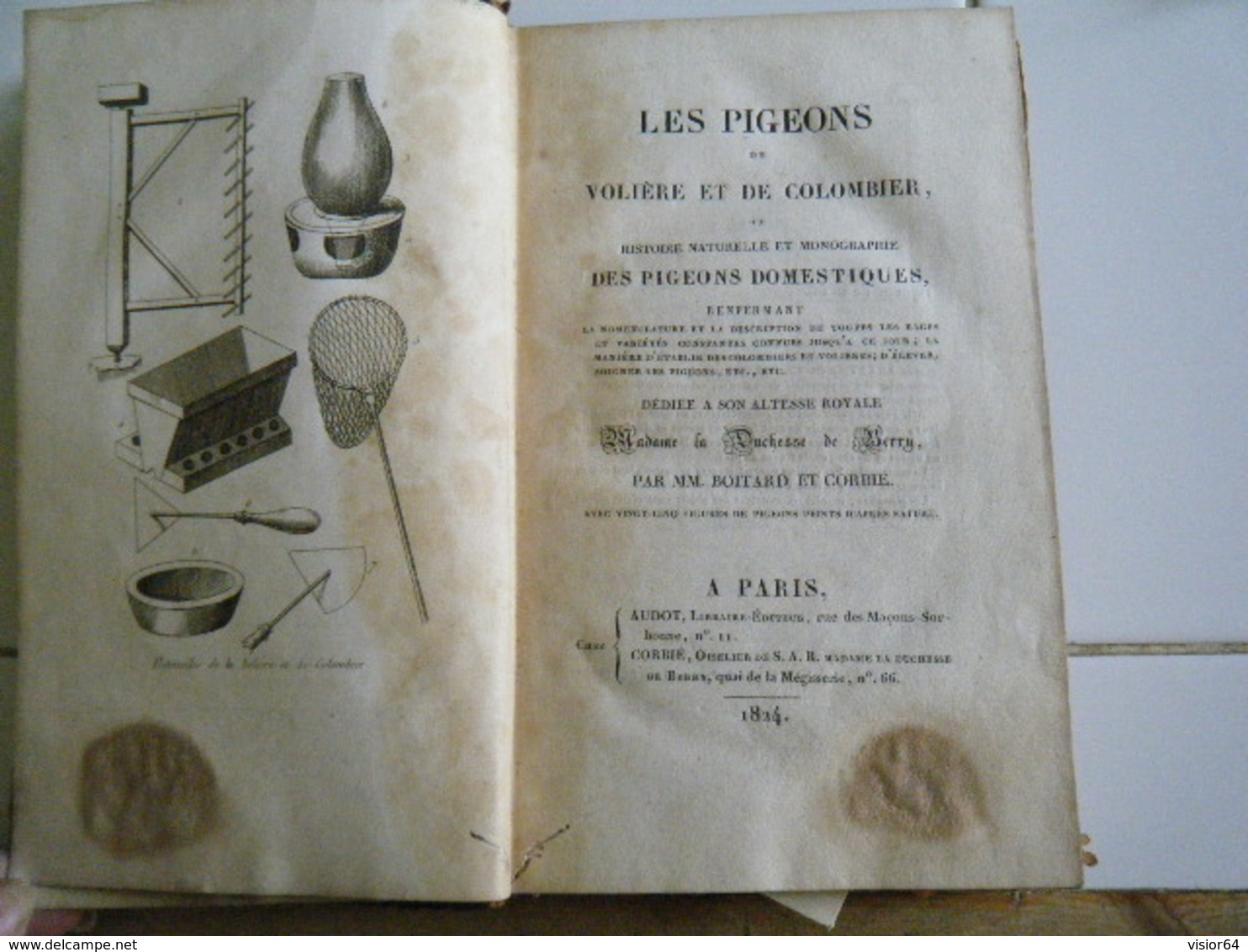 RARE 1824-LES PIGEONS DE VOLIERE ET COLOMBIER DEDIE A LA DUCHESSE DE BERRY- 25 PLANCHES PIGEONS D'APRES NATURE - 1801-1900
