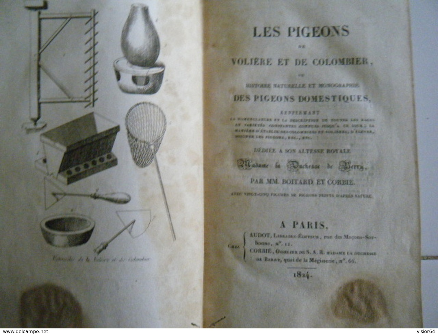 RARE 1824-LES PIGEONS DE VOLIERE ET COLOMBIER DEDIE A LA DUCHESSE DE BERRY- 25 PLANCHES PIGEONS D'APRES NATURE - 1801-1900