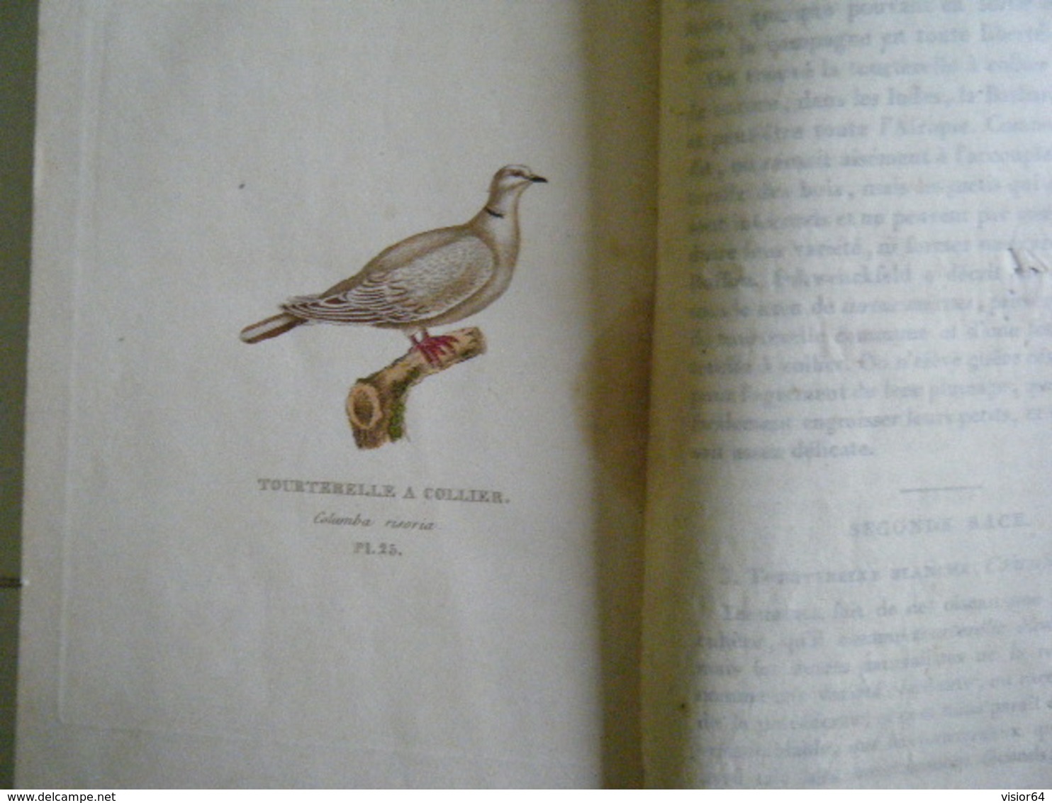 RARE 1824-LES PIGEONS DE VOLIERE ET COLOMBIER DEDIE A LA DUCHESSE DE BERRY- 25 PLANCHES PIGEONS D'APRES NATURE - 1801-1900