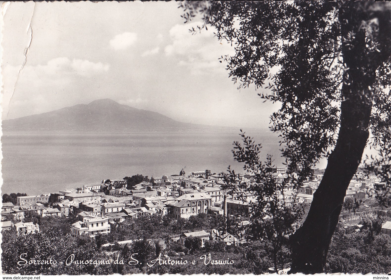 Sorrento - Panorama Da S.Antonio E Vesuvio - Marano Di Napoli