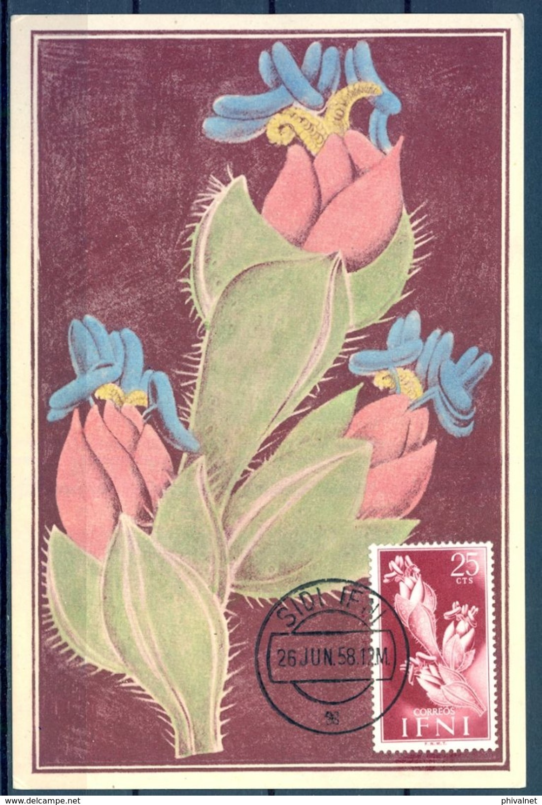 1958 , IFNI , ED. 105 - SERIE BÁSICA , FLORA,  MAT. DE SIDI IFNI - Ifni