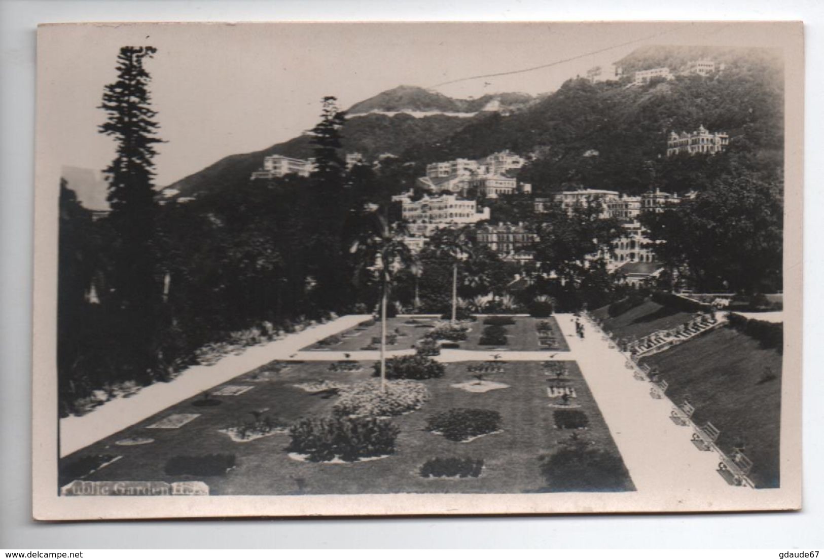 CHINE / CHINA - CARTE PHOTO - PUBLIC GARDEN HONGKONG  / HONG KONG - China