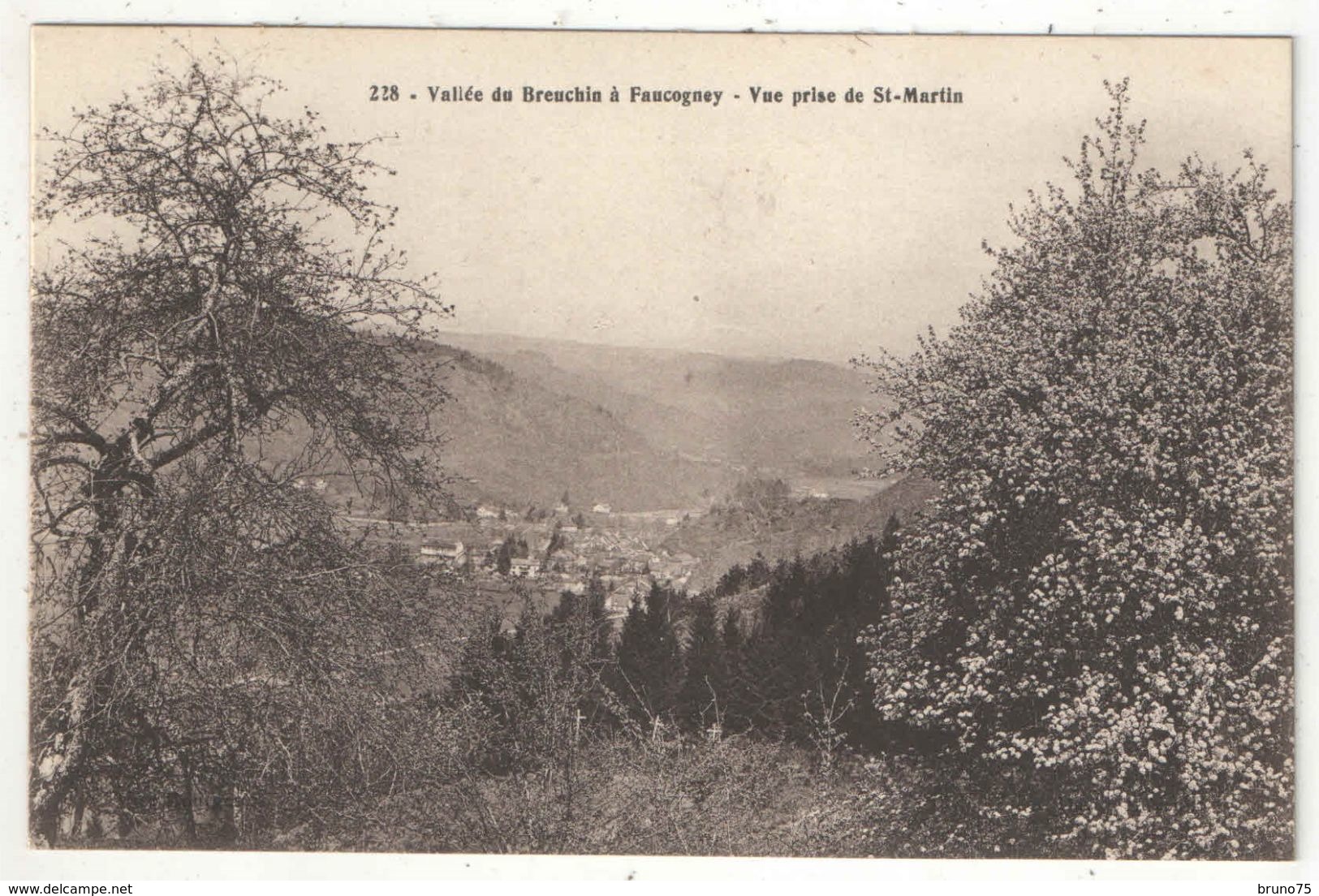 70 - Vallée Du Breuchin à FAUCOGNEY - Vue Prise De St-Martin - David 228 - Autres & Non Classés