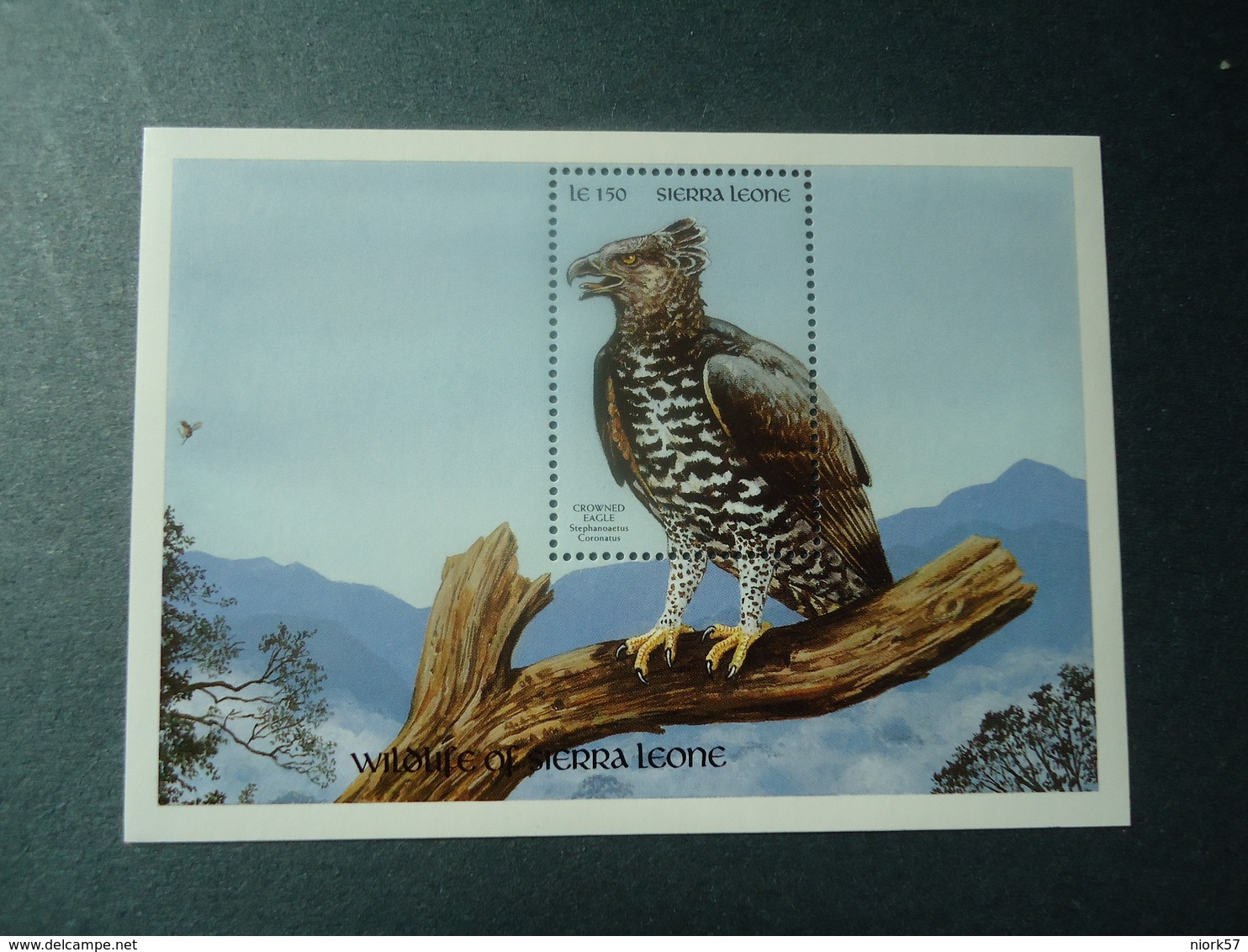 SIERRA LEONE  MINT  STAMPS BIRDS  SHEET    1990 - Otros & Sin Clasificación