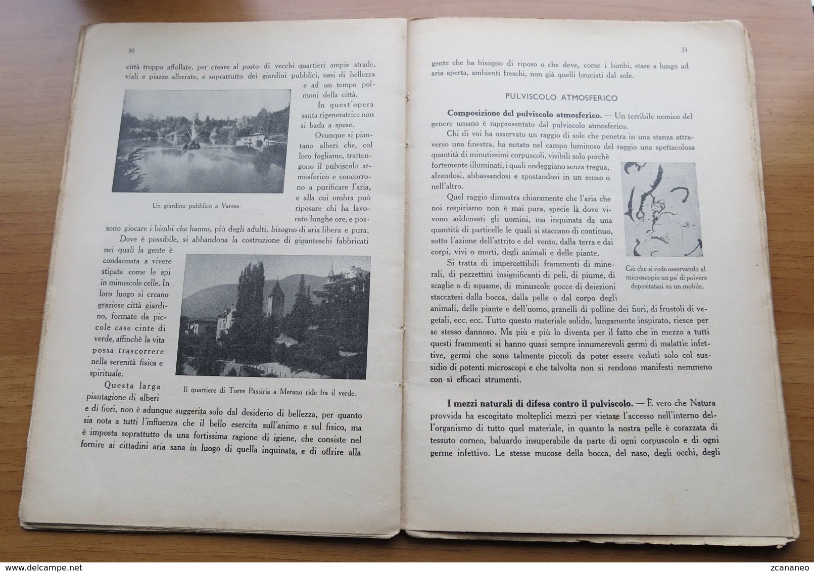 LIBRO VITA SANA NOZIONI D'IGIENE DI LINO VACCARI - S. LATTER & C EDITORI TORINO - - Other & Unclassified