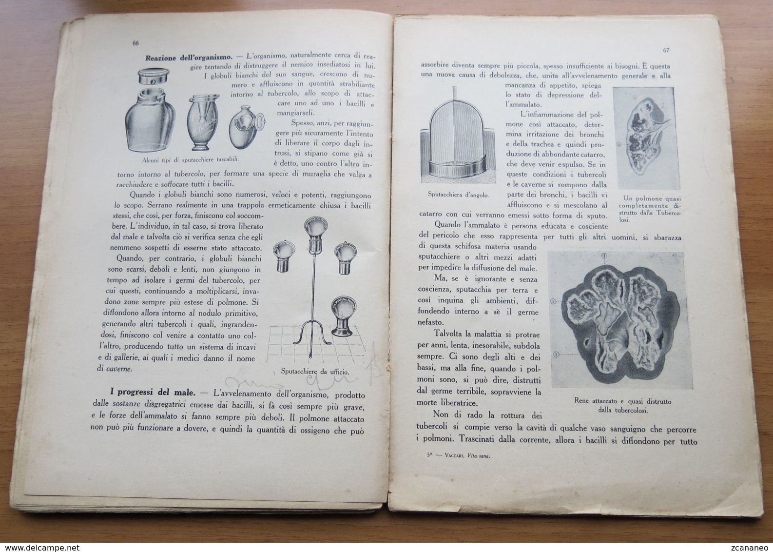 LIBRO VITA SANA NOZIONI D'IGIENE DI LINO VACCARI - S. LATTER & C EDITORI TORINO - - Autres & Non Classés