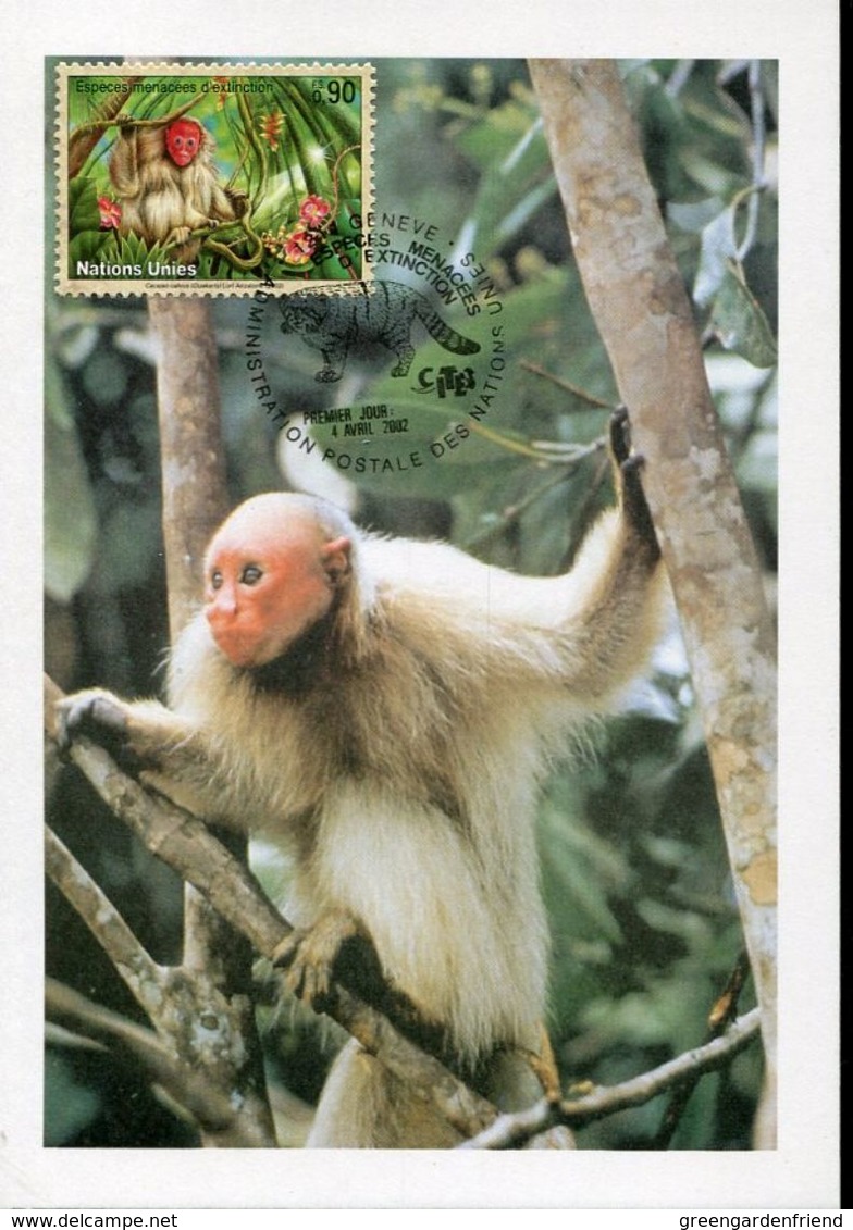 30636  Uno Issue  U.s.a. , Monkey, Affe, Singe - Apen