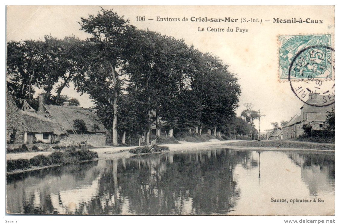 76 Environs De Criel-sur-Mer - MESNIL-à-CAUX - Le Centre Du Pays - Autres & Non Classés