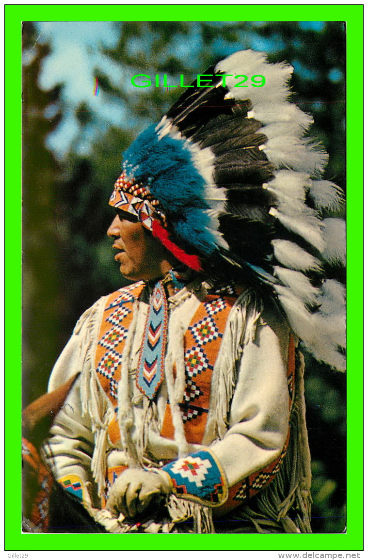 INDIENS DE L'AMÉRIQUE - A NORTH AMERICAN INDIAN IN TRADITIONAL HEAD-DRESS -  TRAVELTIME - - Indiens D'Amérique Du Nord