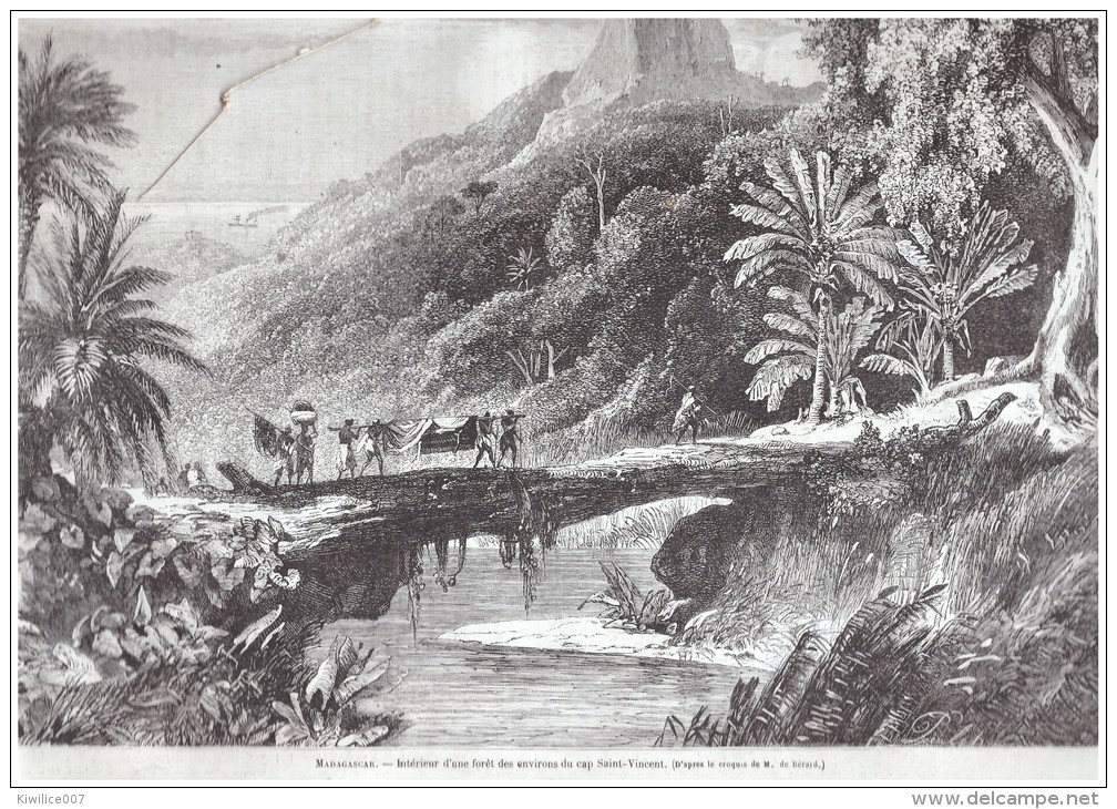 Gravure De  1867 Interieur D Une Foret  De MADAGASCAR  CAP SAINT VINCENT - Non Classés