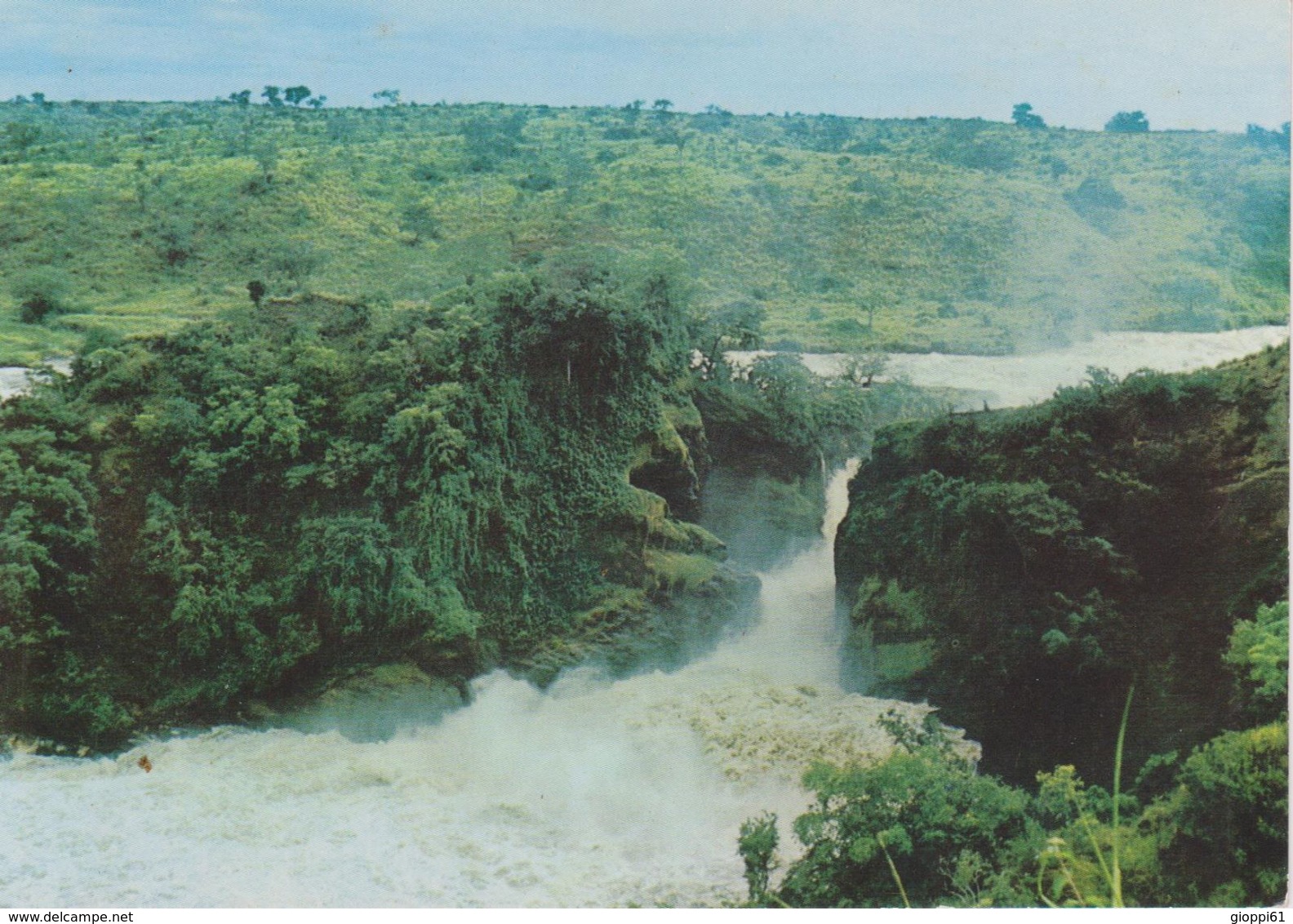 Uganda - Cascate Murchison - Ouganda