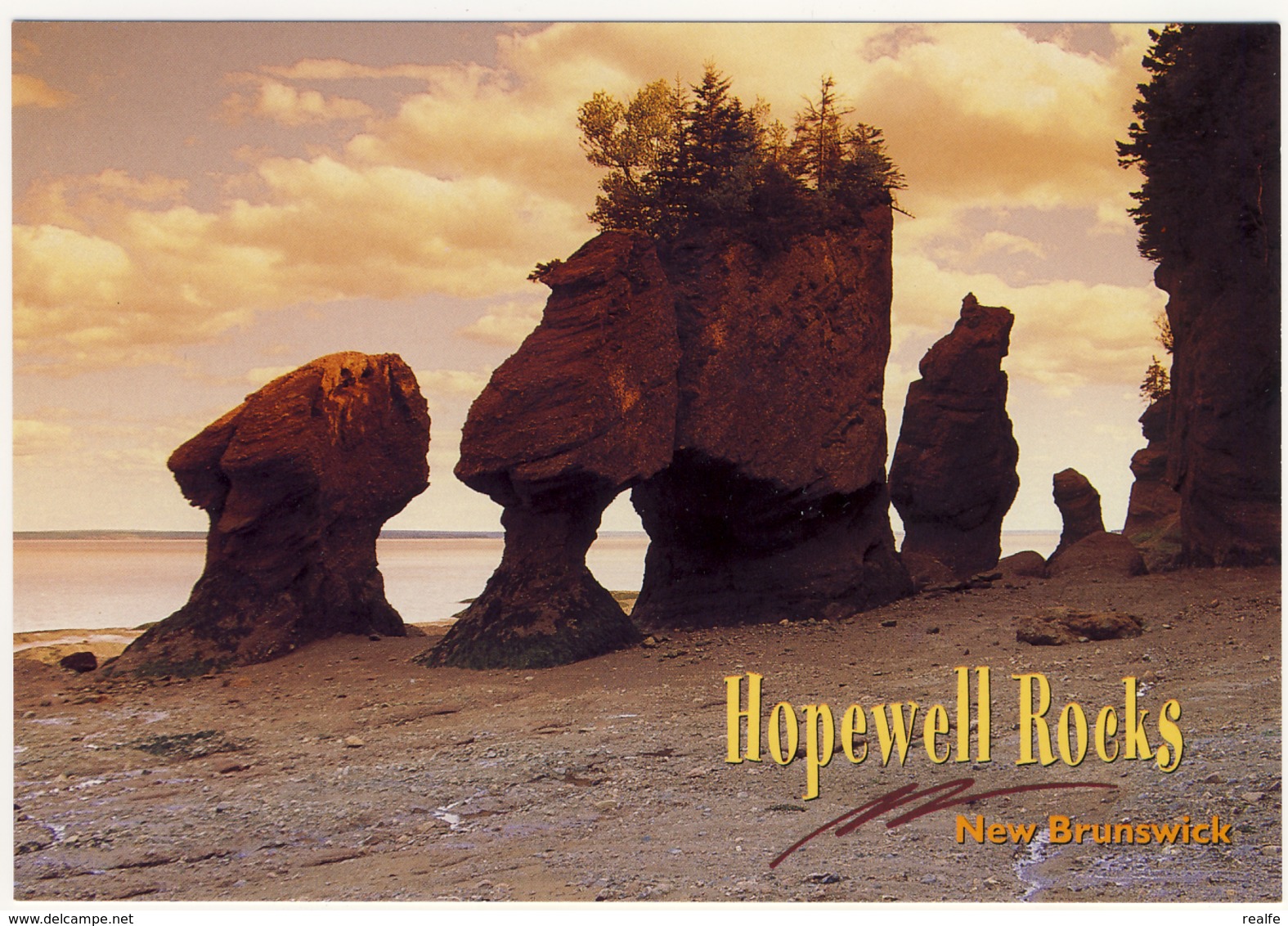 Canada Hopewell Rock's New Brunswick Canada - Other & Unclassified