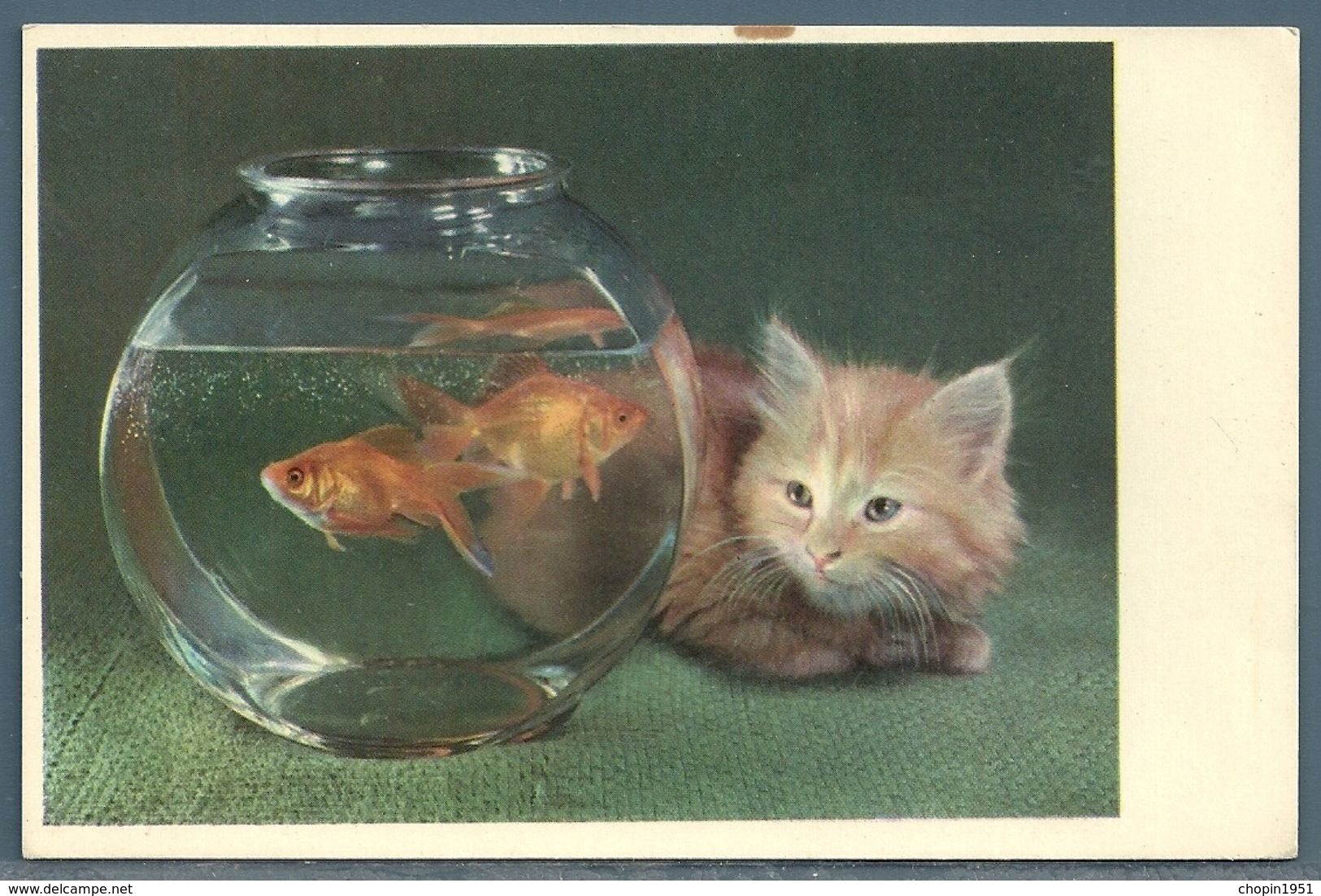 CP - POISSON...CHAT - Contemporain (à Partir De 1950)