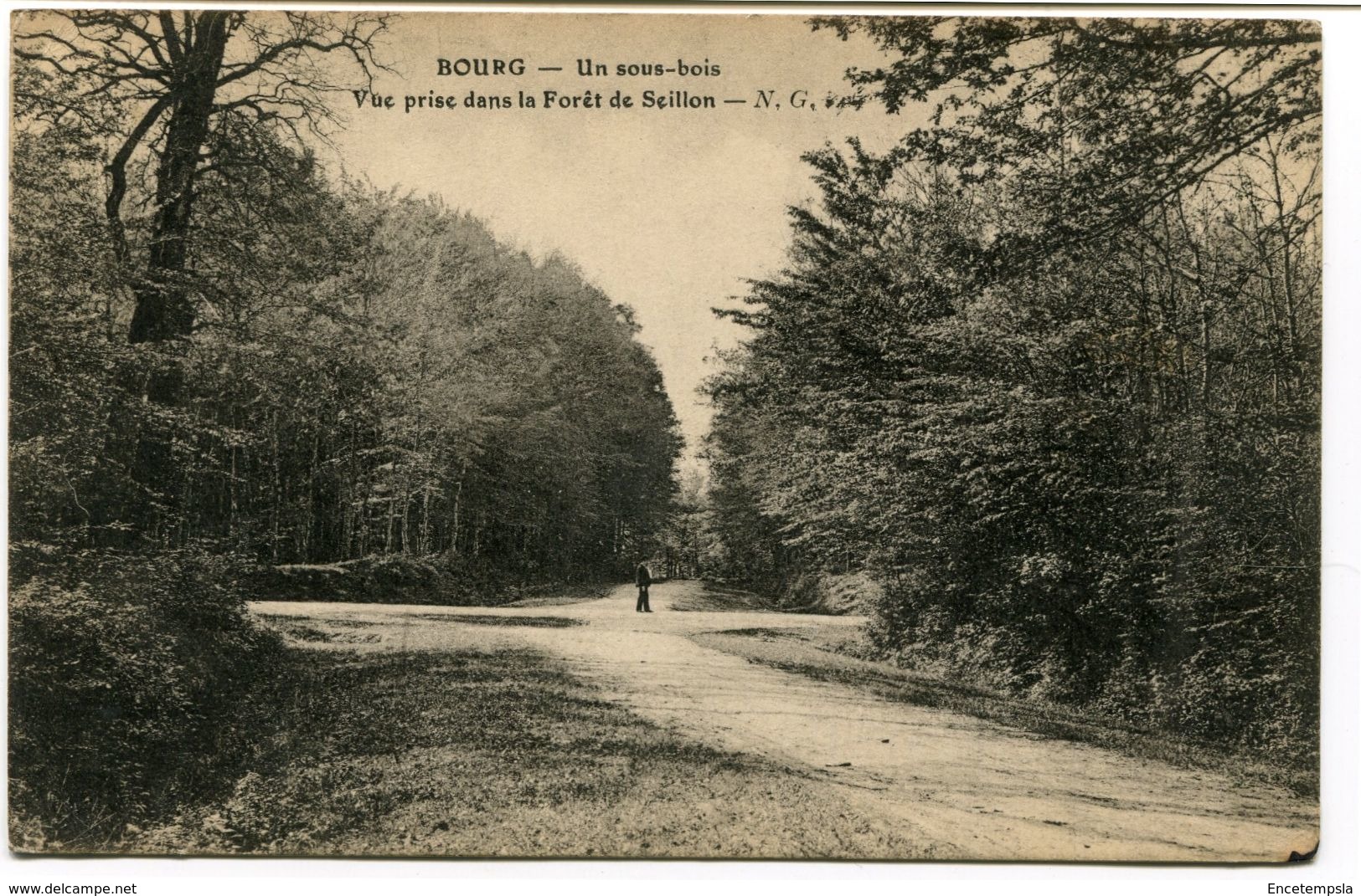 CPA - Carte Postale - France - Bourg - Un Sous Bois - Vue Prise Dans La Forêt De Seillon - 1913 (CP368) - Other & Unclassified