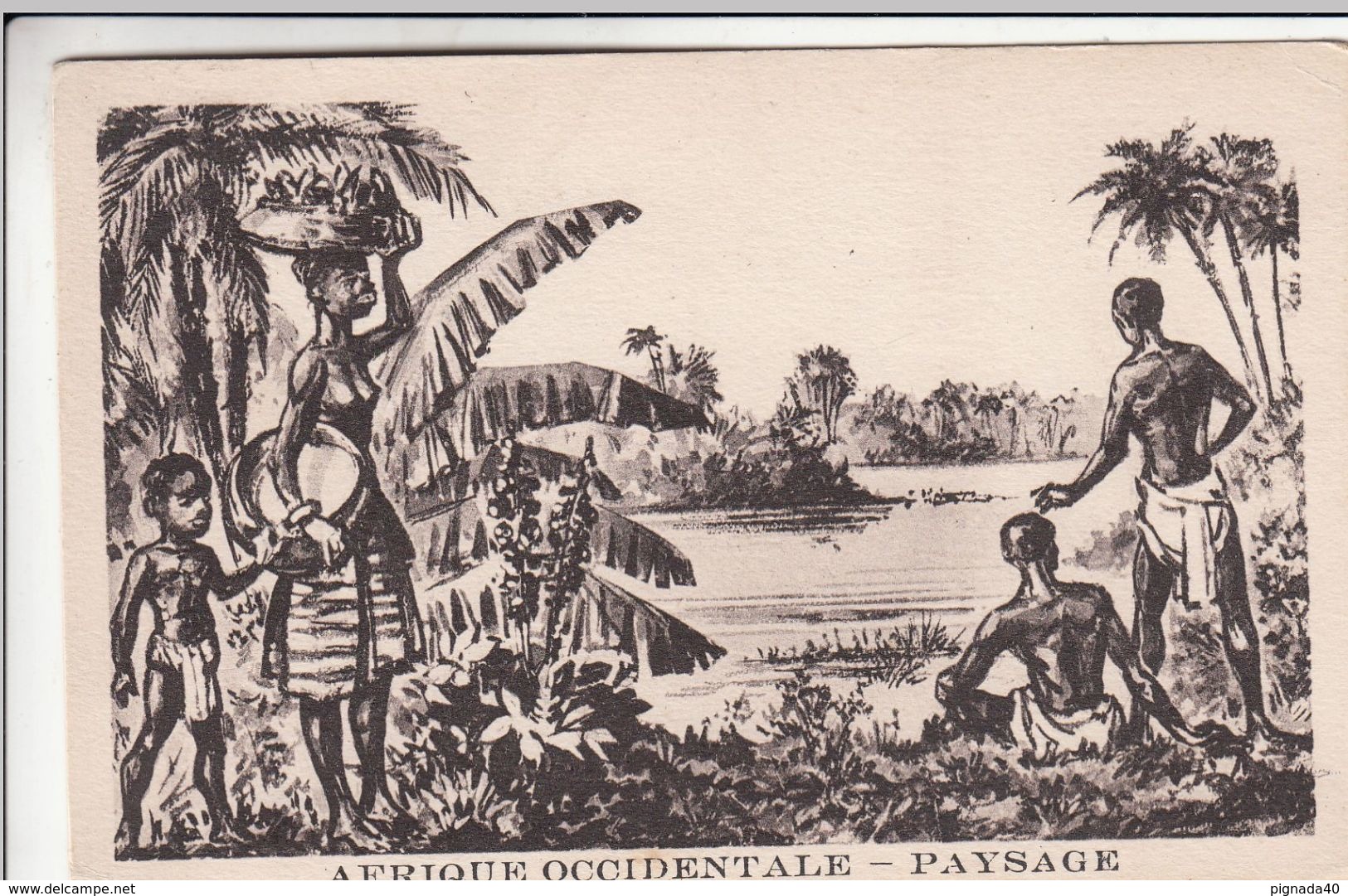 Cp , AFRIQUE OCCIDENTALE , Paysage - Non Classés