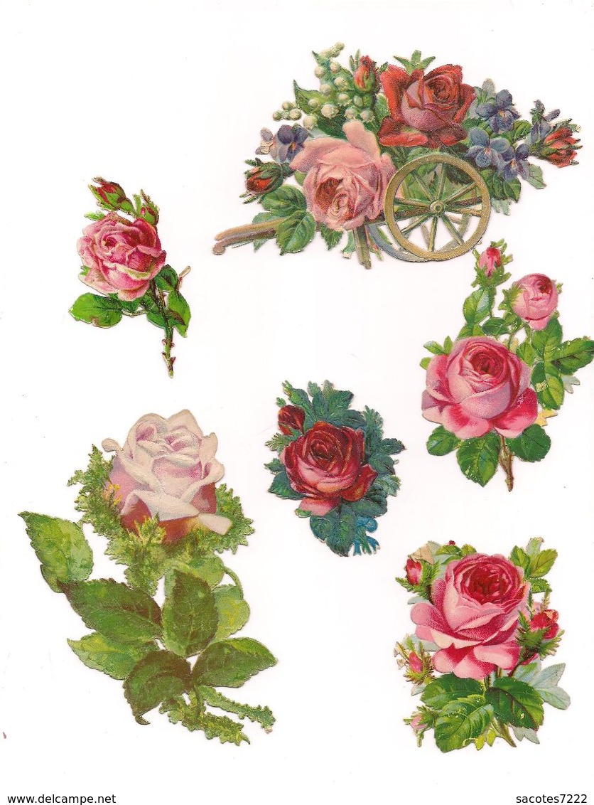 12  DECOUPIS  GAUFFRES  FLEURS - ROSES - - Fleurs