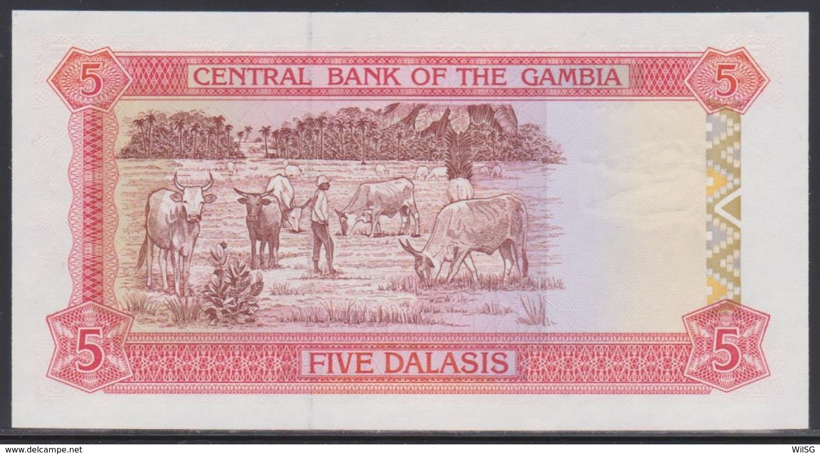 Gambia 5 Dalasis (ND 1991-1995) UNC - Gambie