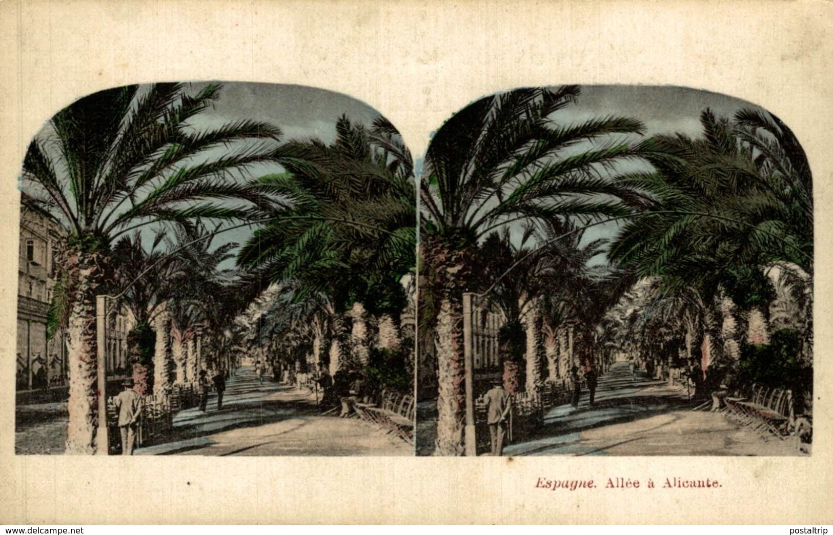 ESPAGNE ALLEE A ALICANTE - Alicante