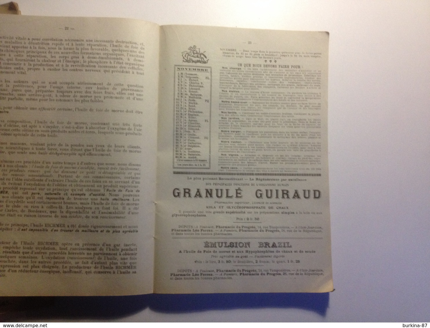 TOULOUSE, Pharmacie Du Progrès,ALMANACH, 1910, Indicateur Des Chemins De Fer, Petit Guide Vétérinaire - Groot Formaat: 1901-20