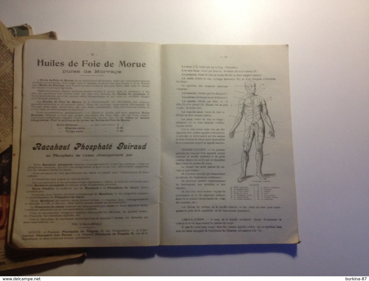 TOULOUSE, Pharmacie Du Progrès,ALMANACH, 1910, Indicateur Des Chemins De Fer, Petit Guide Vétérinaire - Grand Format : 1901-20