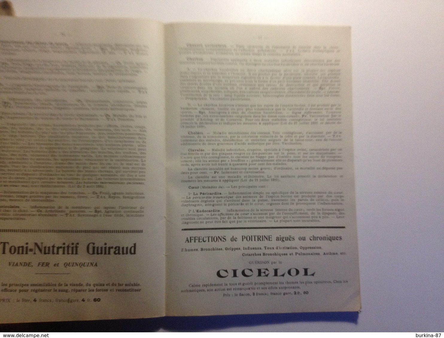TOULOUSE, pharmacie du progrès,ALMANACH, 1910, Indicateur des chemins de fer, petit guide vétérinaire