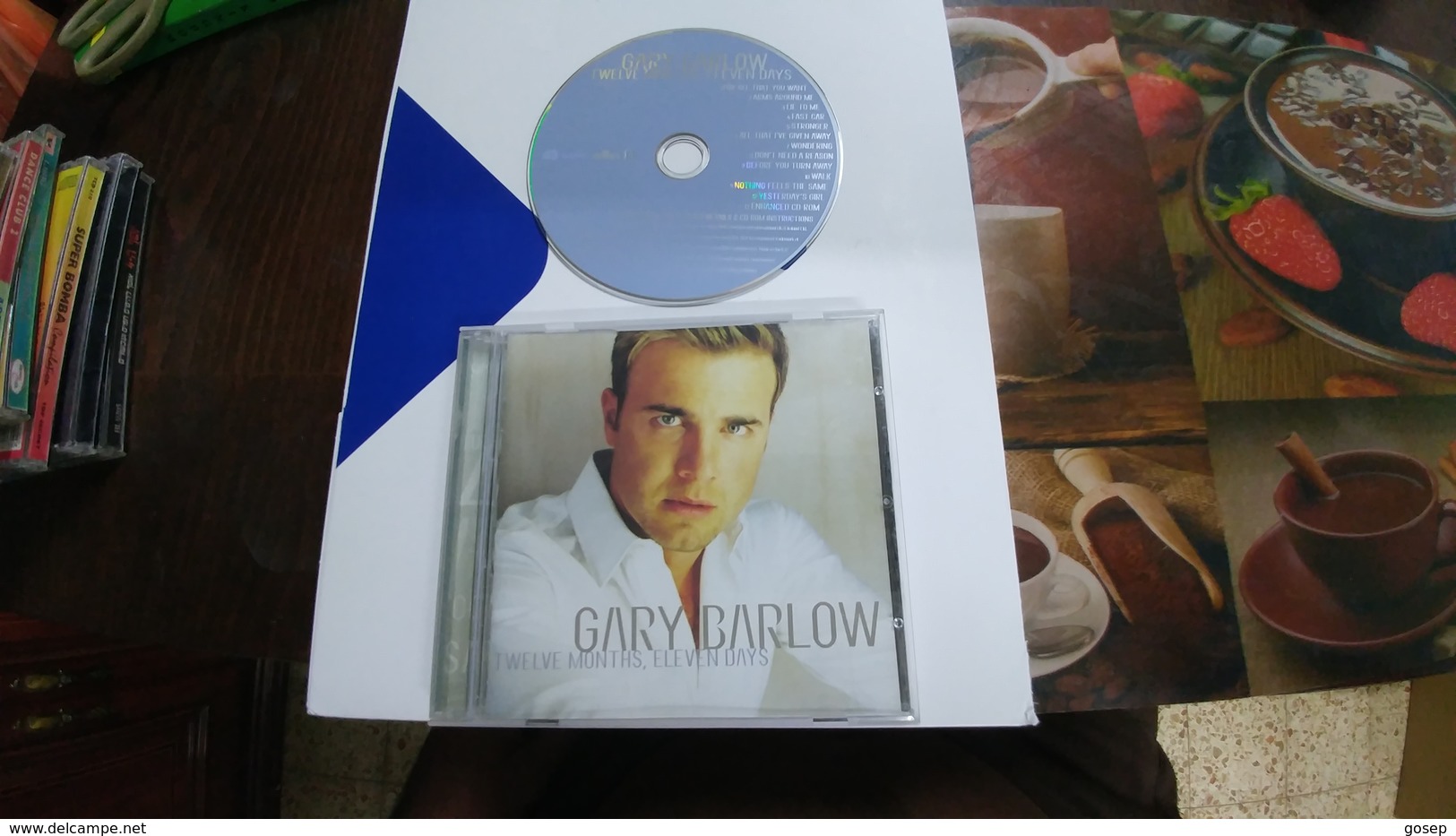 Ireland-twelve Months Eleven Days-gary Barlow-(11)-good Payler - Musik-DVD's