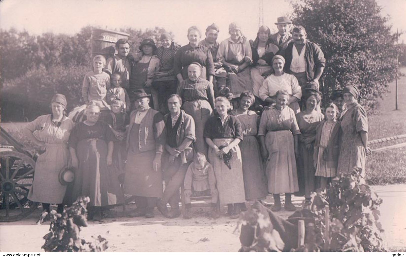 Vaud La Côte, Scènes De Vendanges En 1923, Les Vendangeurs (831) - Vignes