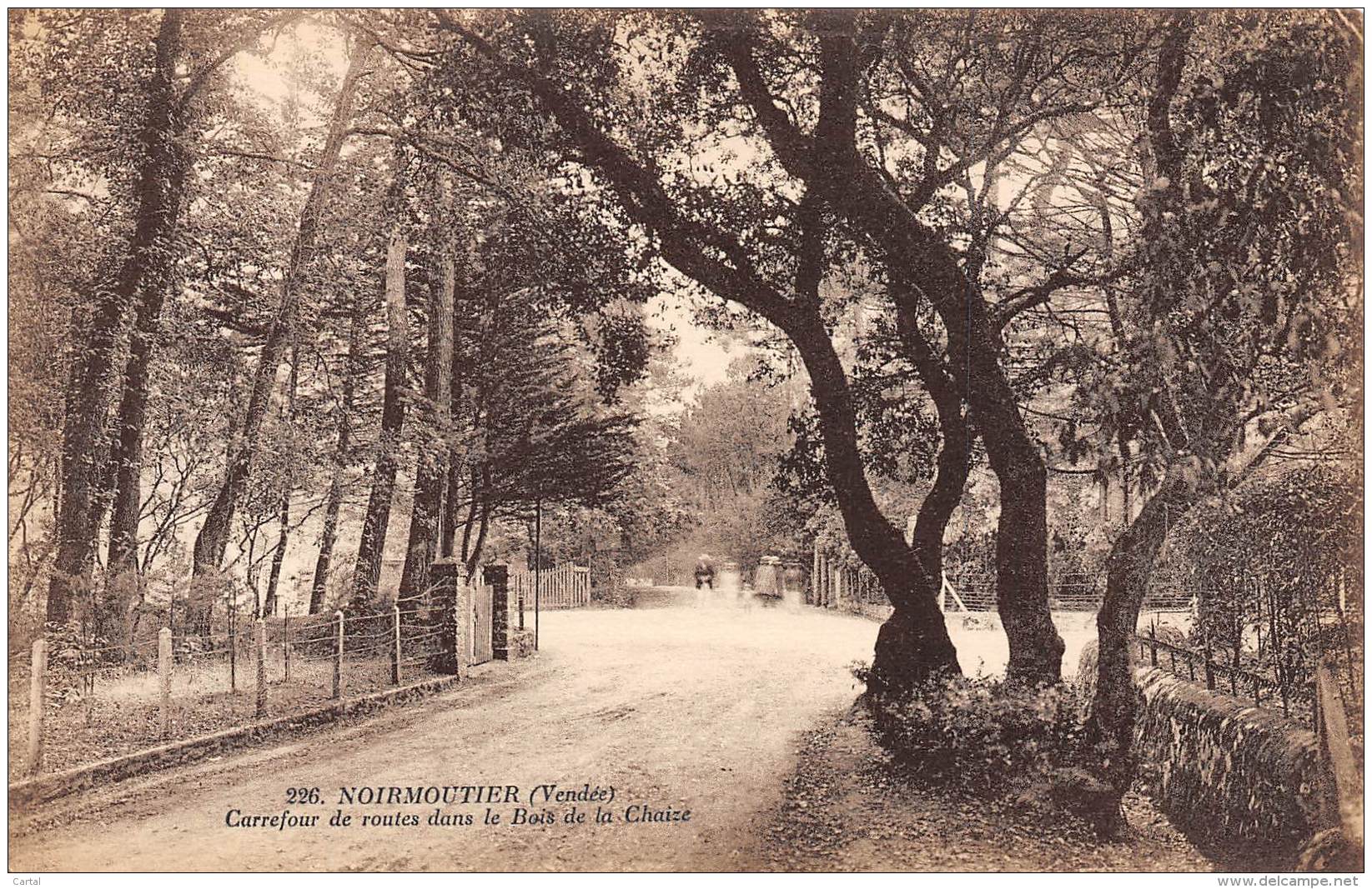 85 - NOIRMOUTIER - Carrefour De Routes Dans Le Bois De La Chaize - Noirmoutier